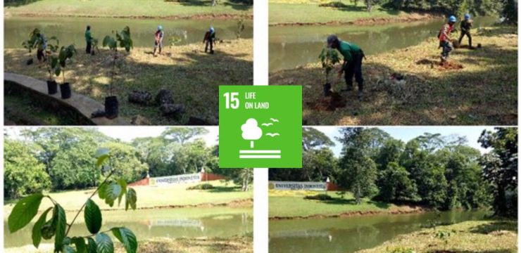 Konservasi Air, Flora, dan Fauna di UI berkaitan dengan SDGs no.15